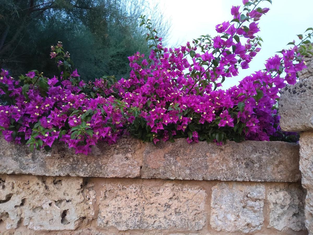 Casetta Vacanza In Campagna Aradeo Bagian luar foto