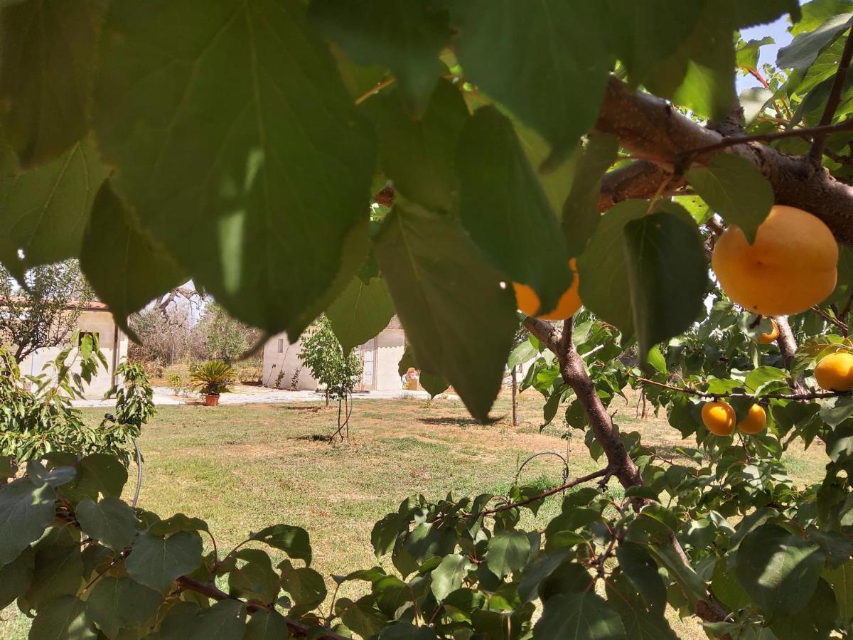 Casetta Vacanza In Campagna Aradeo Bagian luar foto