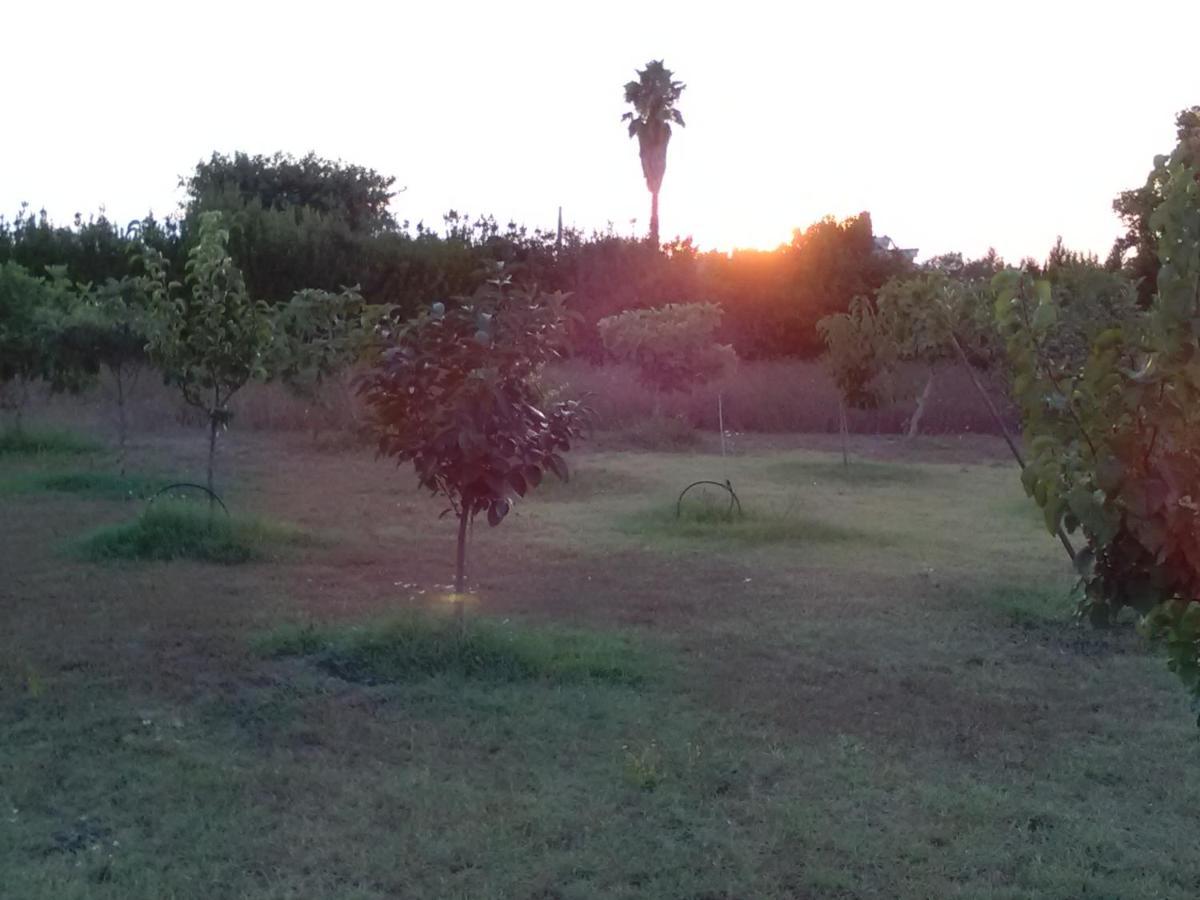 Casetta Vacanza In Campagna Aradeo Bagian luar foto
