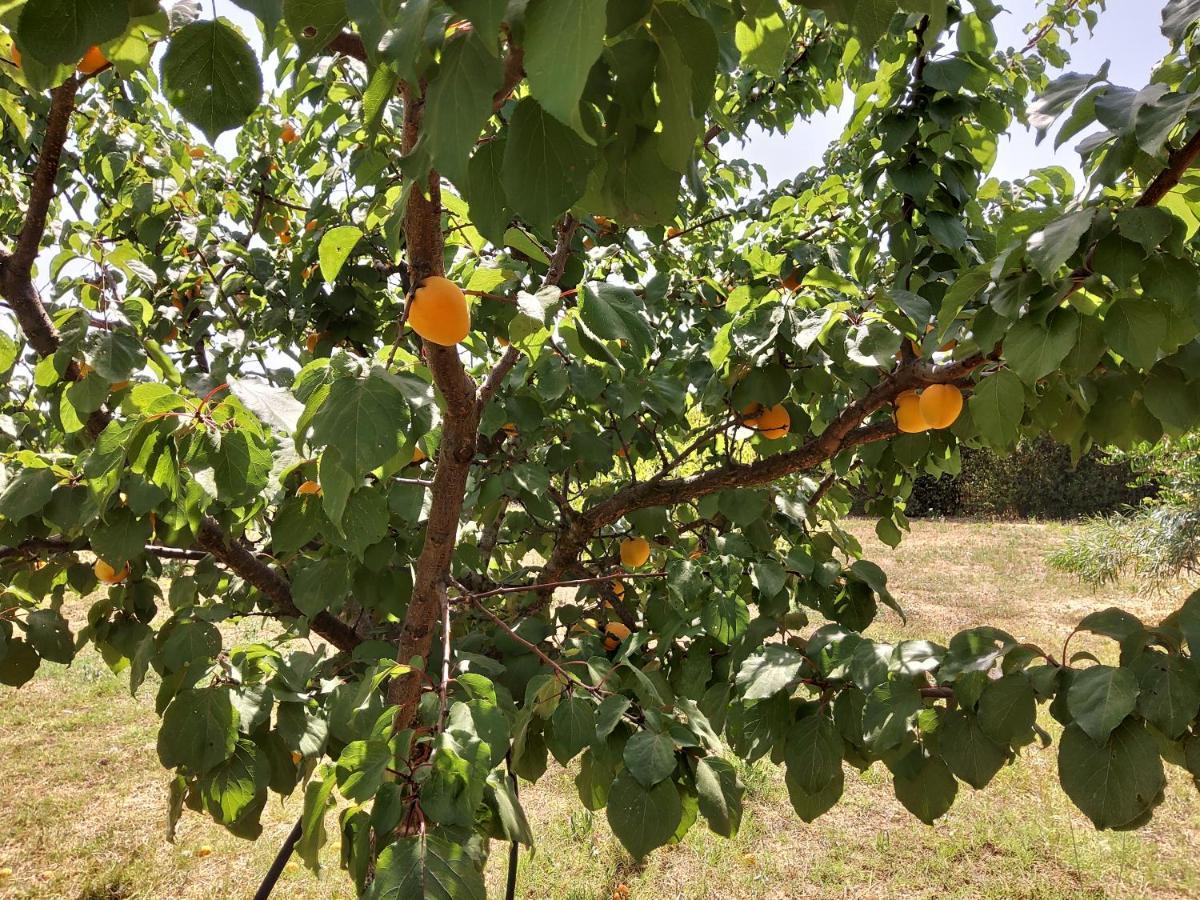 Casetta Vacanza In Campagna Aradeo Bagian luar foto