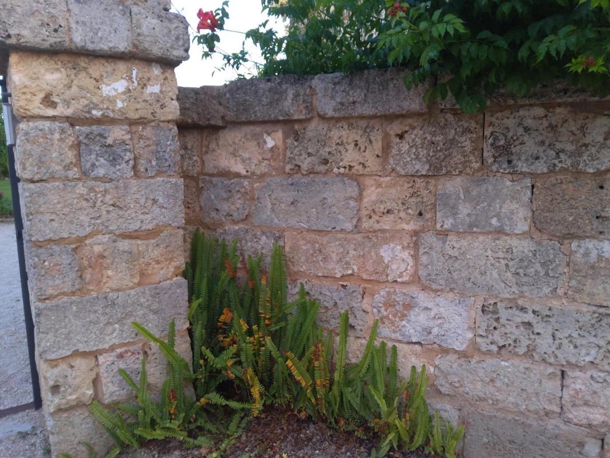 Casetta Vacanza In Campagna Aradeo Bagian luar foto