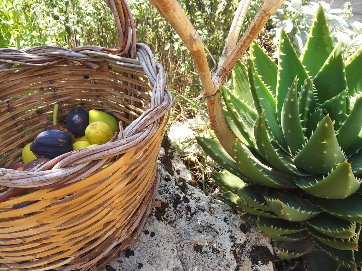 Casetta Vacanza In Campagna Aradeo Bagian luar foto
