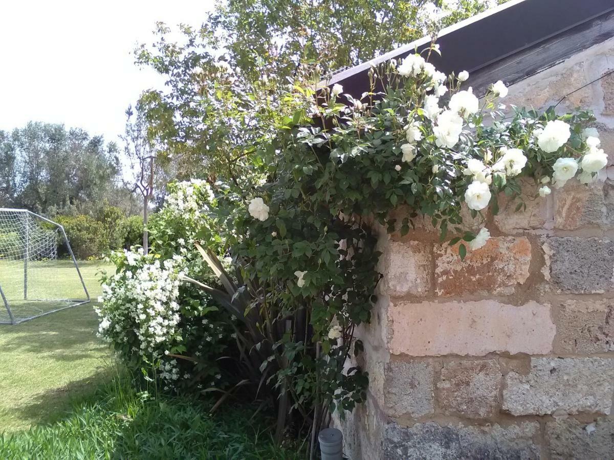 Casetta Vacanza In Campagna Aradeo Bagian luar foto