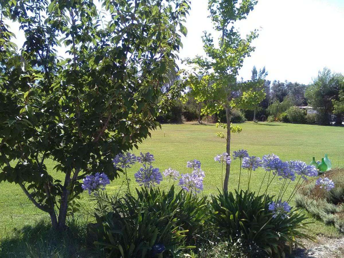 Casetta Vacanza In Campagna Aradeo Bagian luar foto