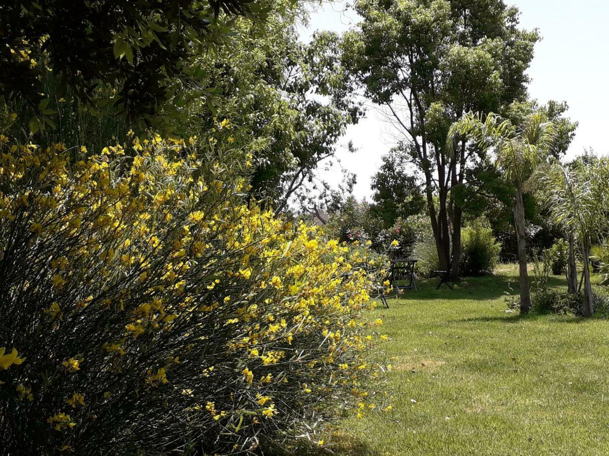 Casetta Vacanza In Campagna Aradeo Bagian luar foto