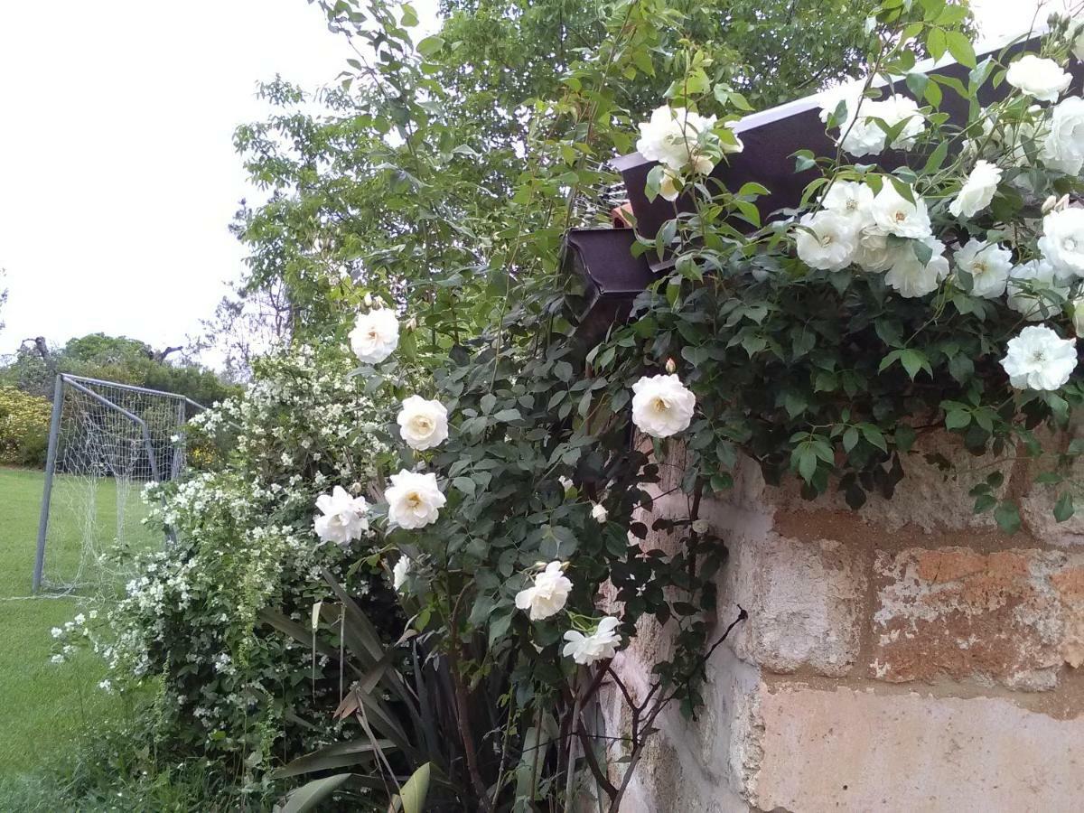 Casetta Vacanza In Campagna Aradeo Bagian luar foto